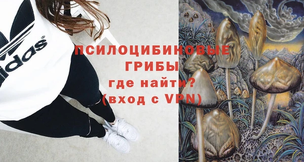 стафф Бородино