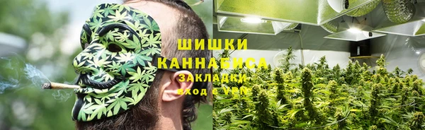 стафф Бородино