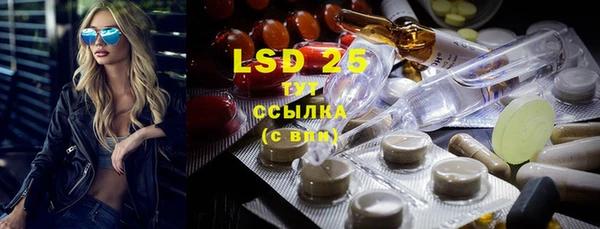 стафф Бородино