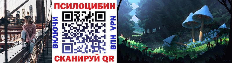 Купить закладки  Нюрба  Псилоцибиновые грибы Magic Shrooms 